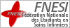 Fnesi