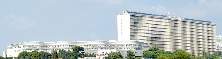vue panoramique hopital nord marseille
