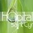 Centre Hospitalier Villeneuve Sur Lot